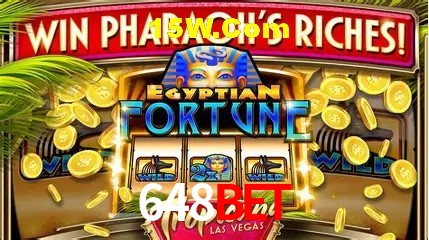 Recursos de Bônus 648Bet